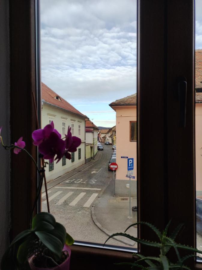 Fanea Residence Сибиу Екстериор снимка